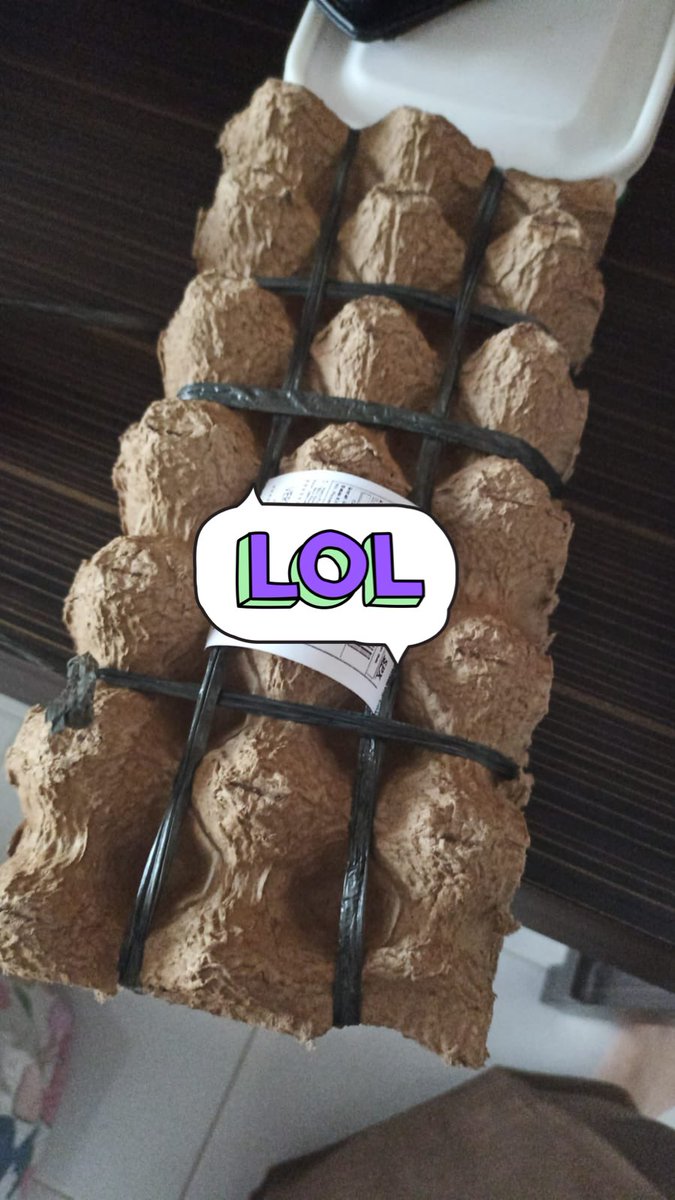 ×°×° tweet media