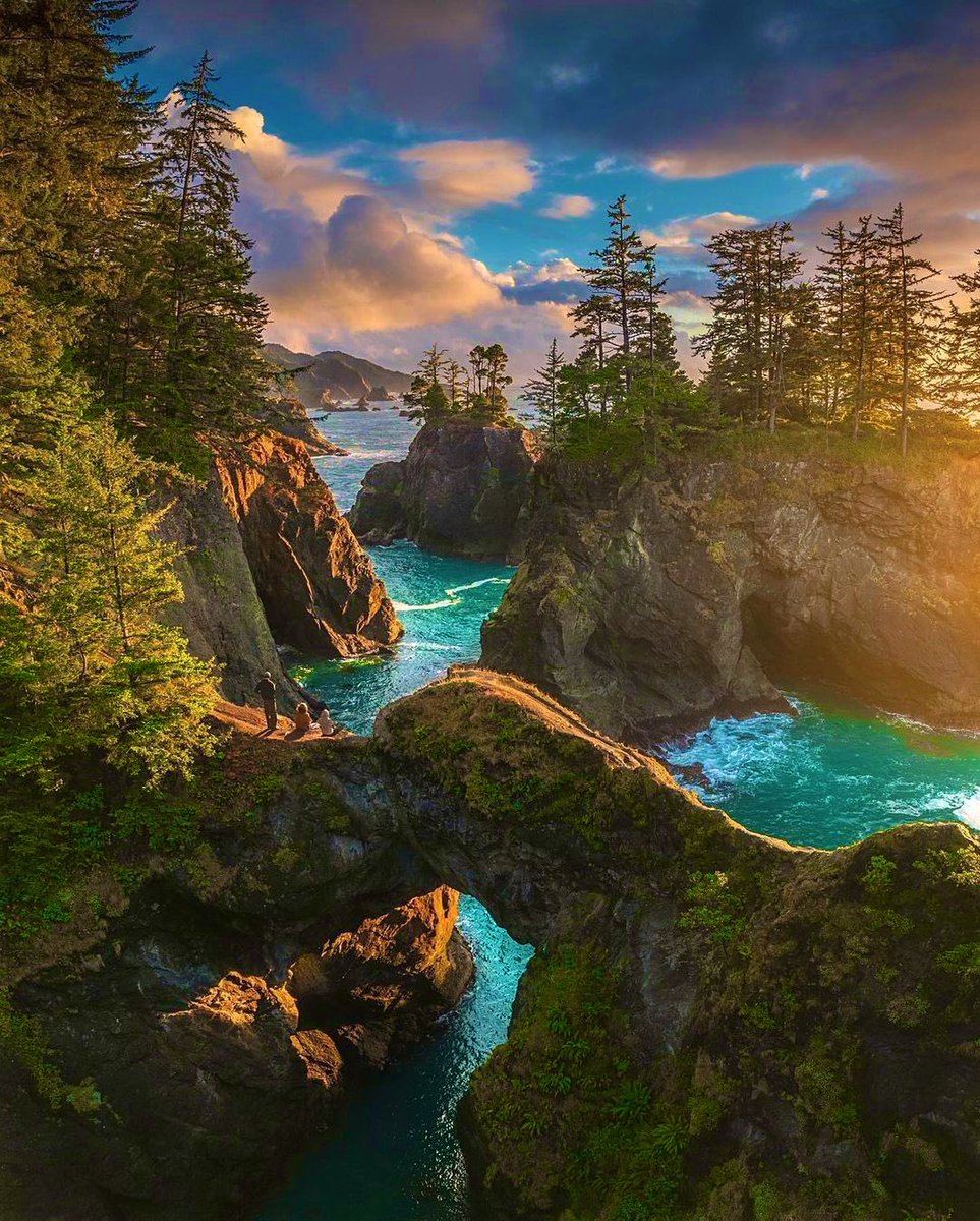 Earth Pictures tweet media