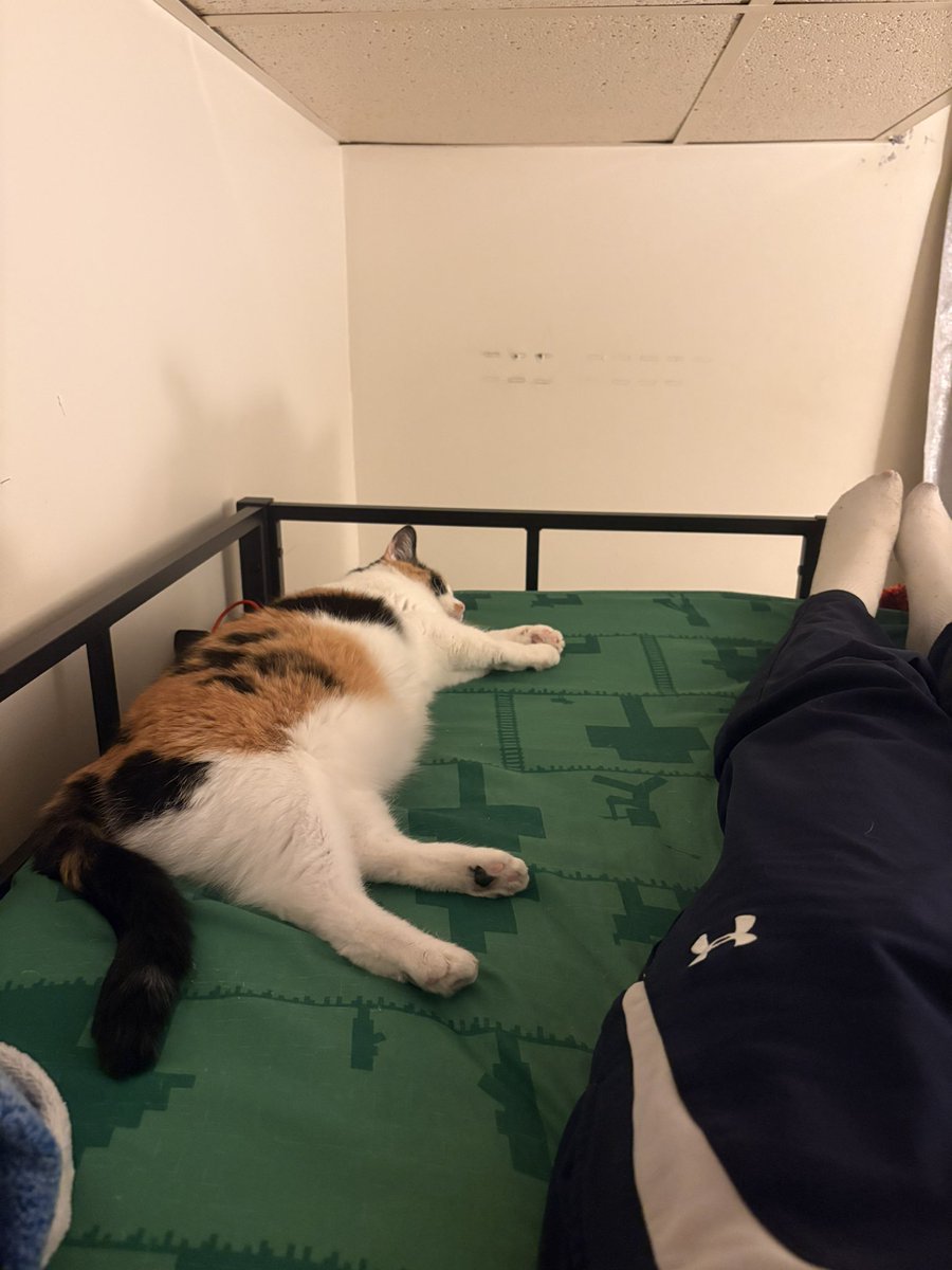 Andrew 🐁 tweet media