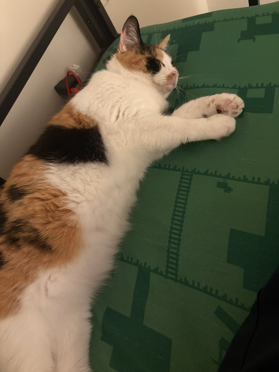 Andrew 🐁 tweet media