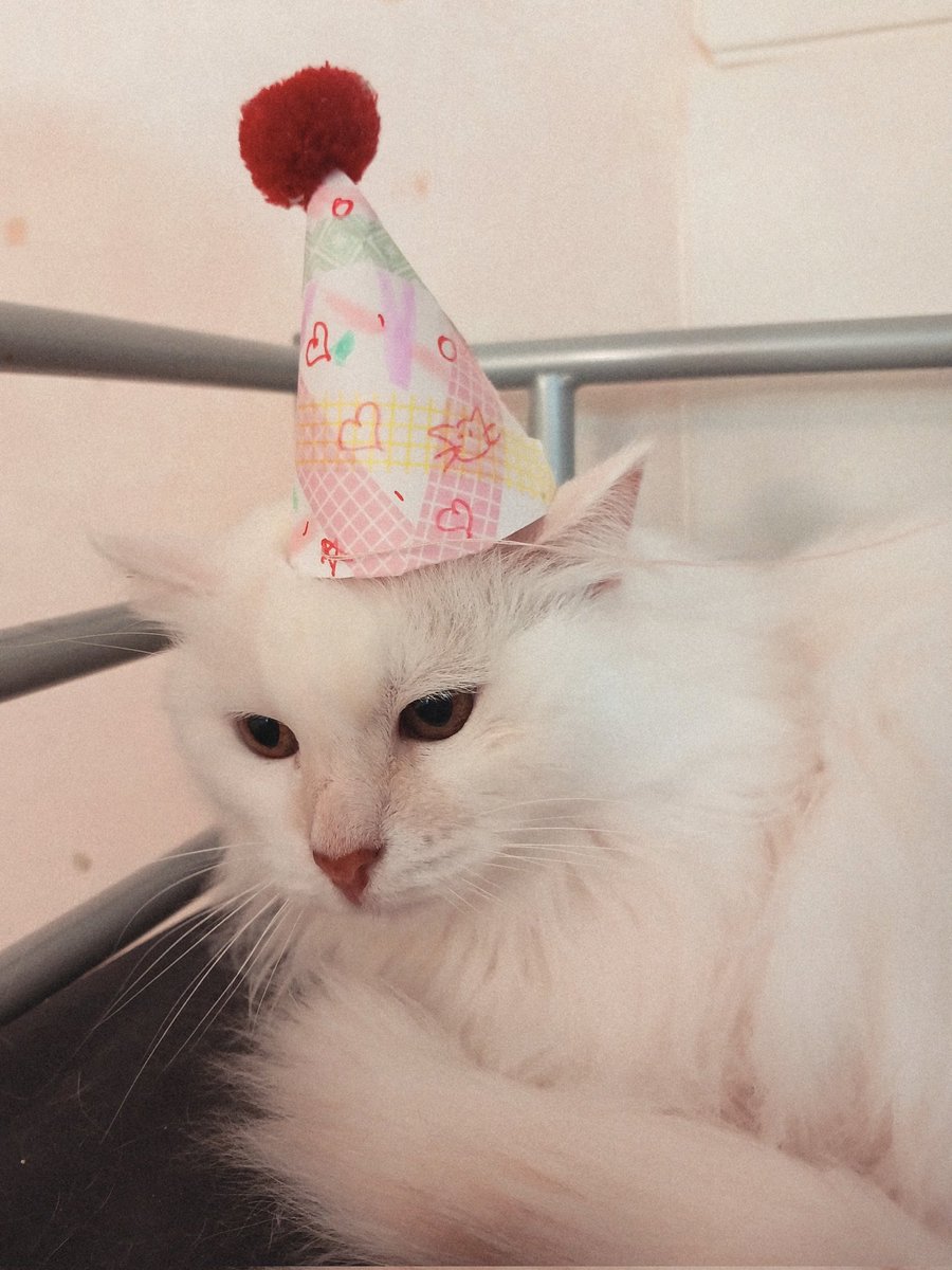 кроличье ушко tweet media