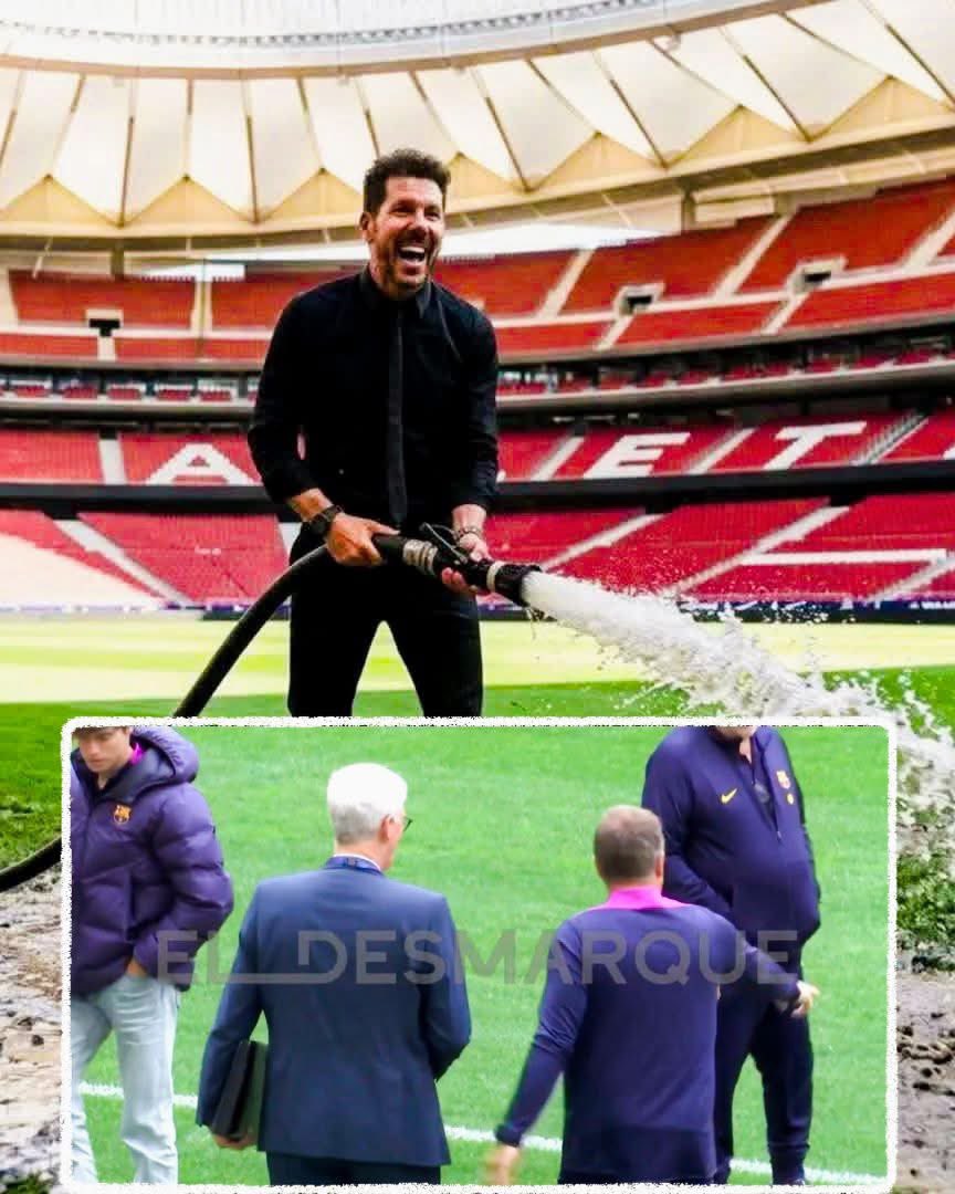 Mr Wills tweet media