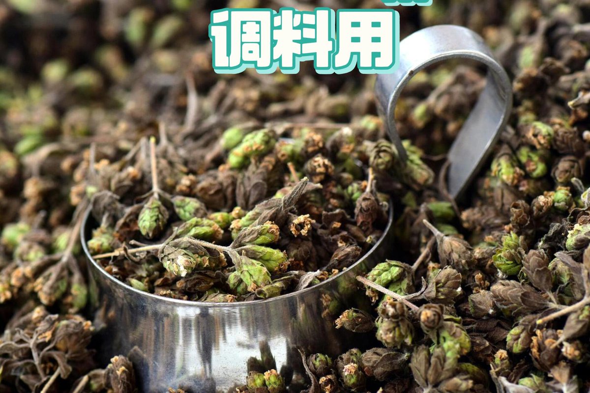 jacques sergerie tweet media