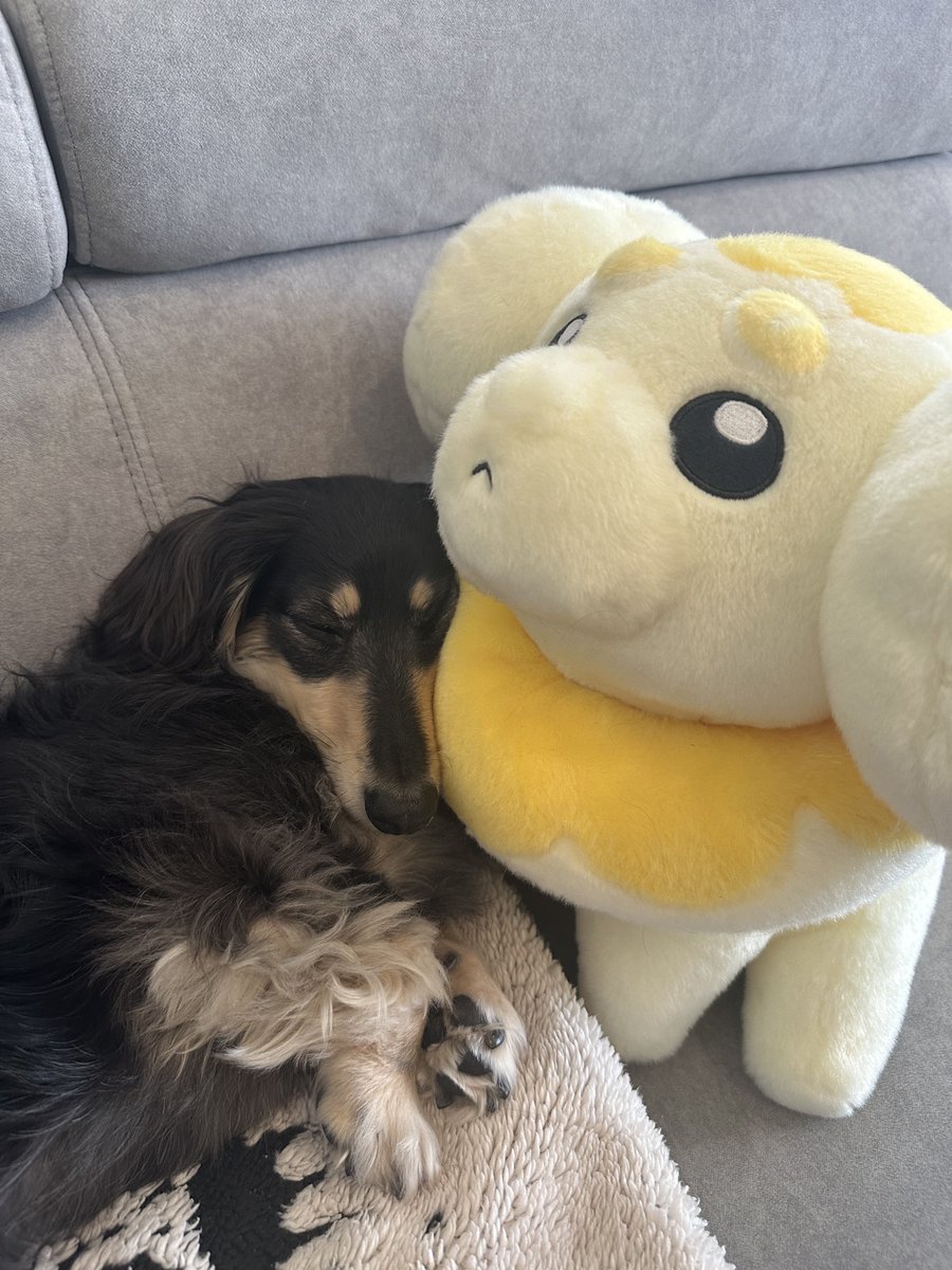 いつの間にか仲良くなってました。