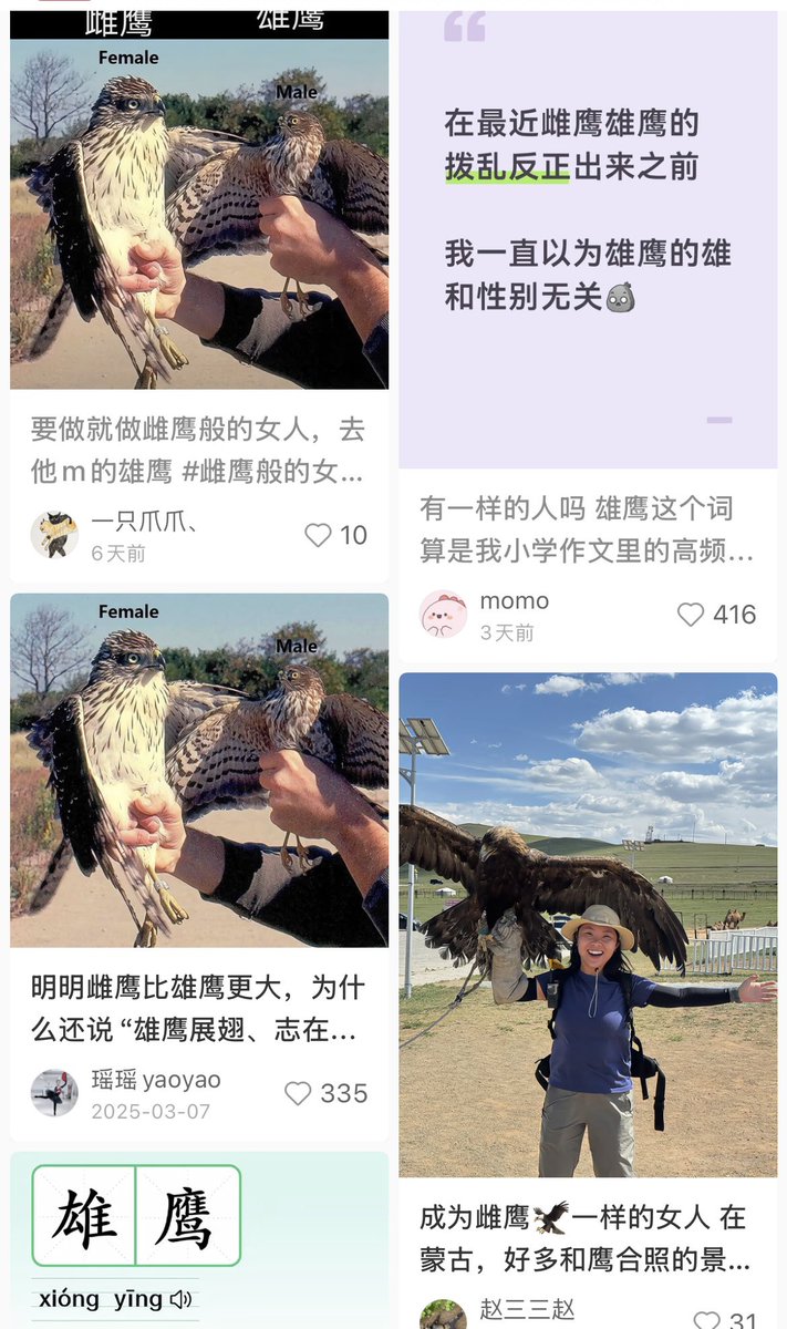 Sagêr Gyaebo ♂⚖️ 萨格杰布 tweet media