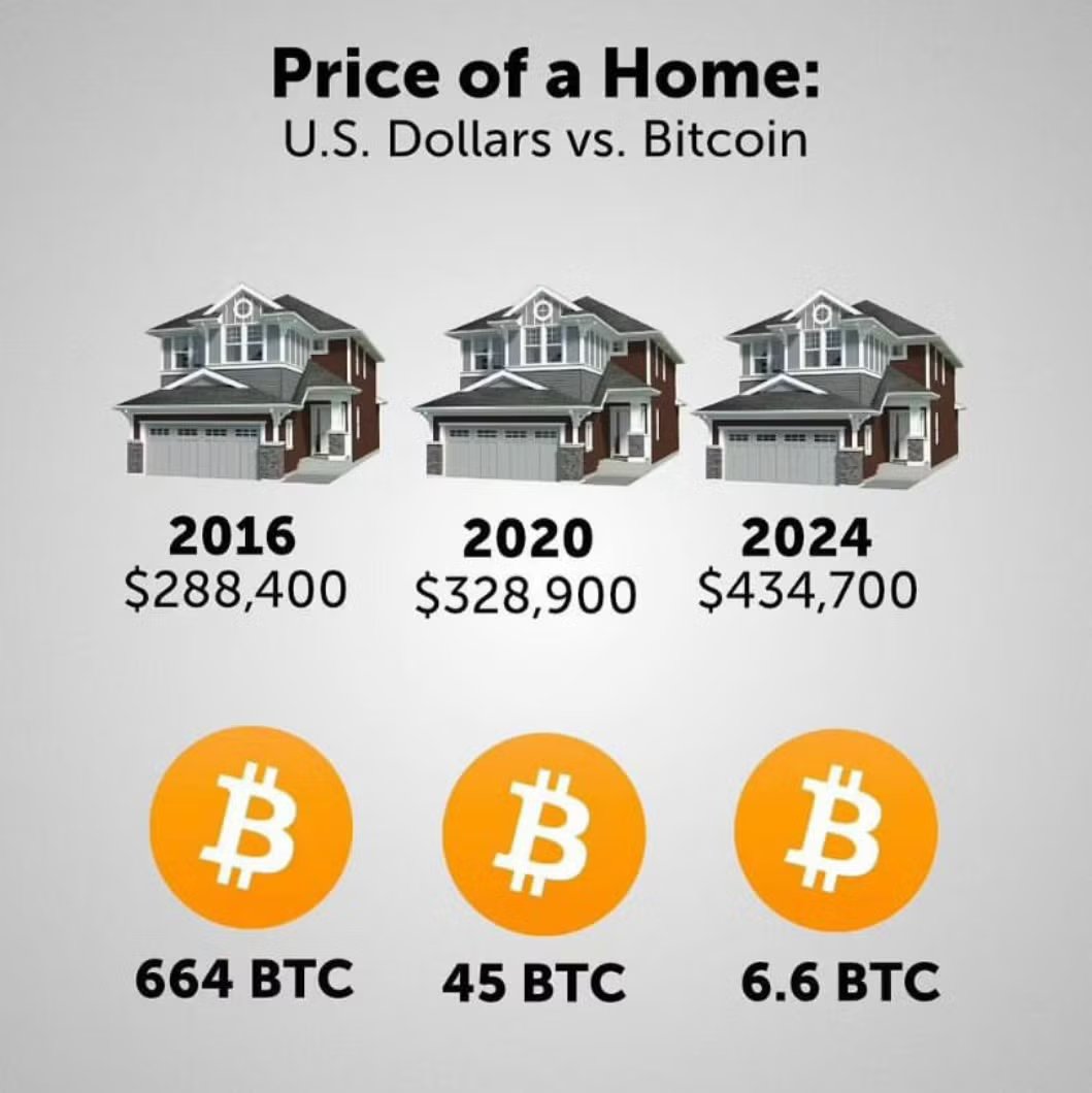 The Satoshi Archive tweet media