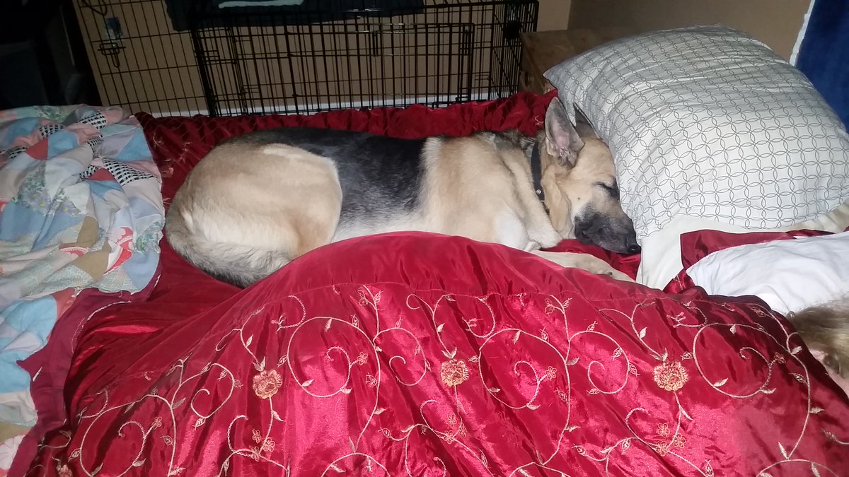 Mrs. Doc tweet media