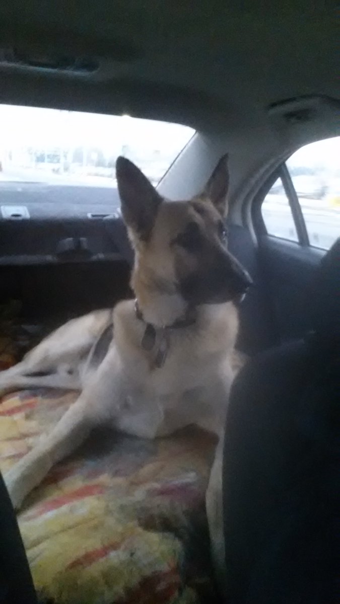 Mrs. Doc tweet media