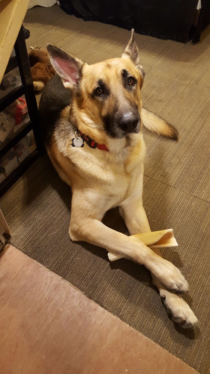 Mrs. Doc tweet media