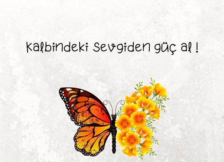 ppeluss's tweet image. GÜÜÜNNAAYYDDINNNNN🥰🥰🥰
#sali #günaydin