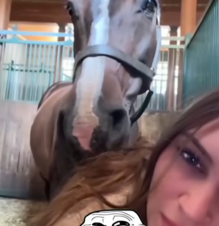 🦋🤍⁵²⁵ tweet media