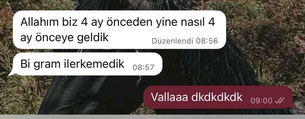 heda+++ tweet media
