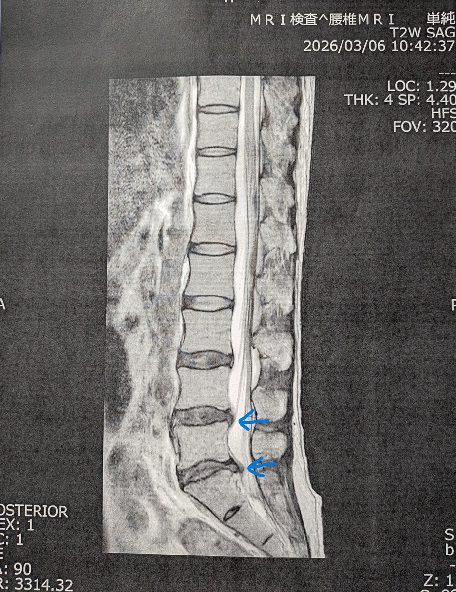東 慶太 tweet media