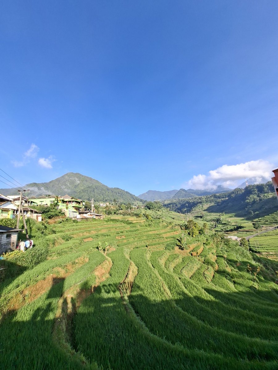 ๐๐๐ tweet media