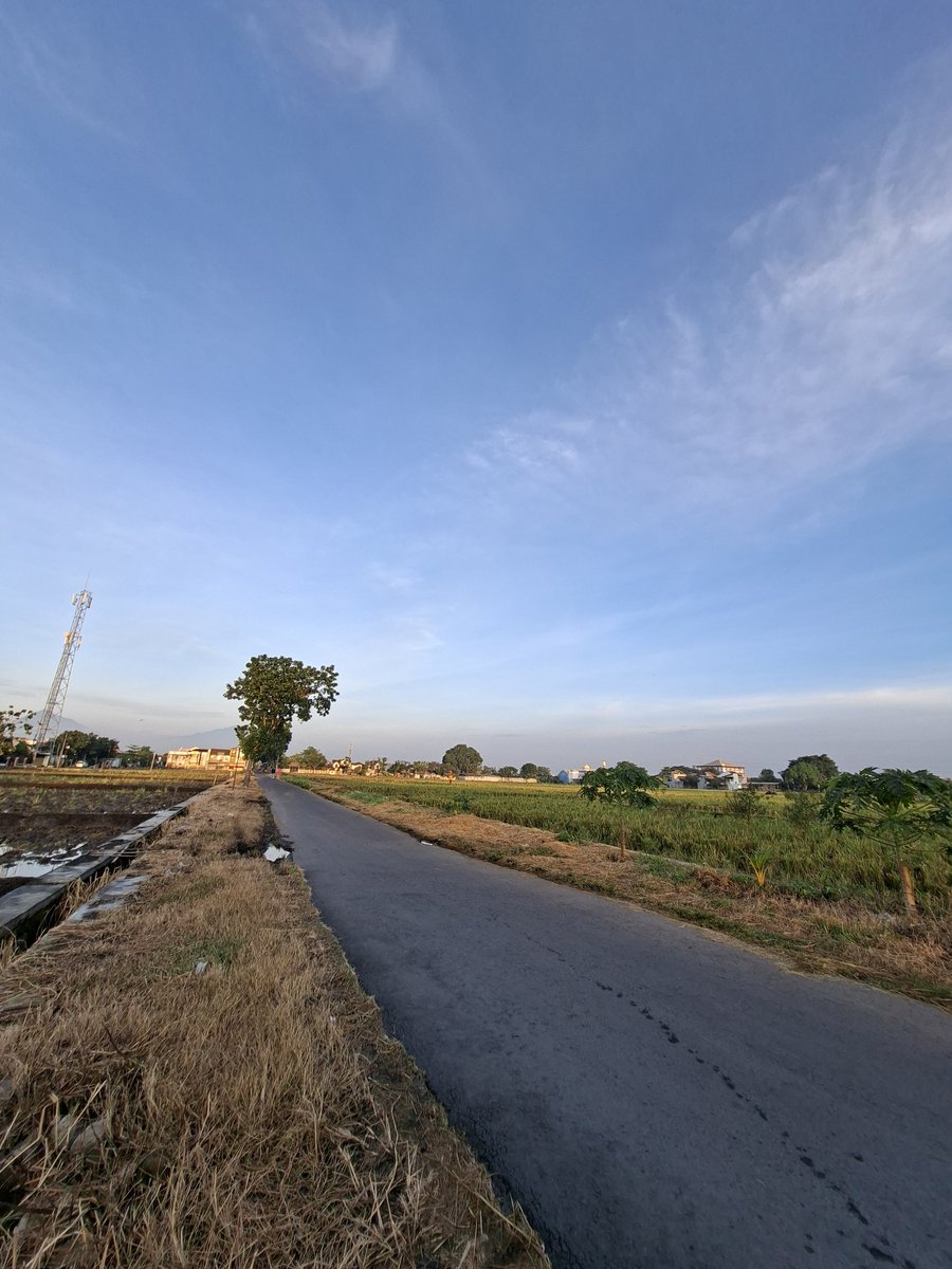 ๐๐๐ tweet media