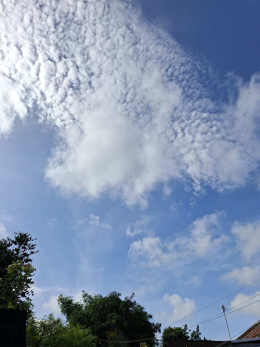 ๐๐๐ tweet media