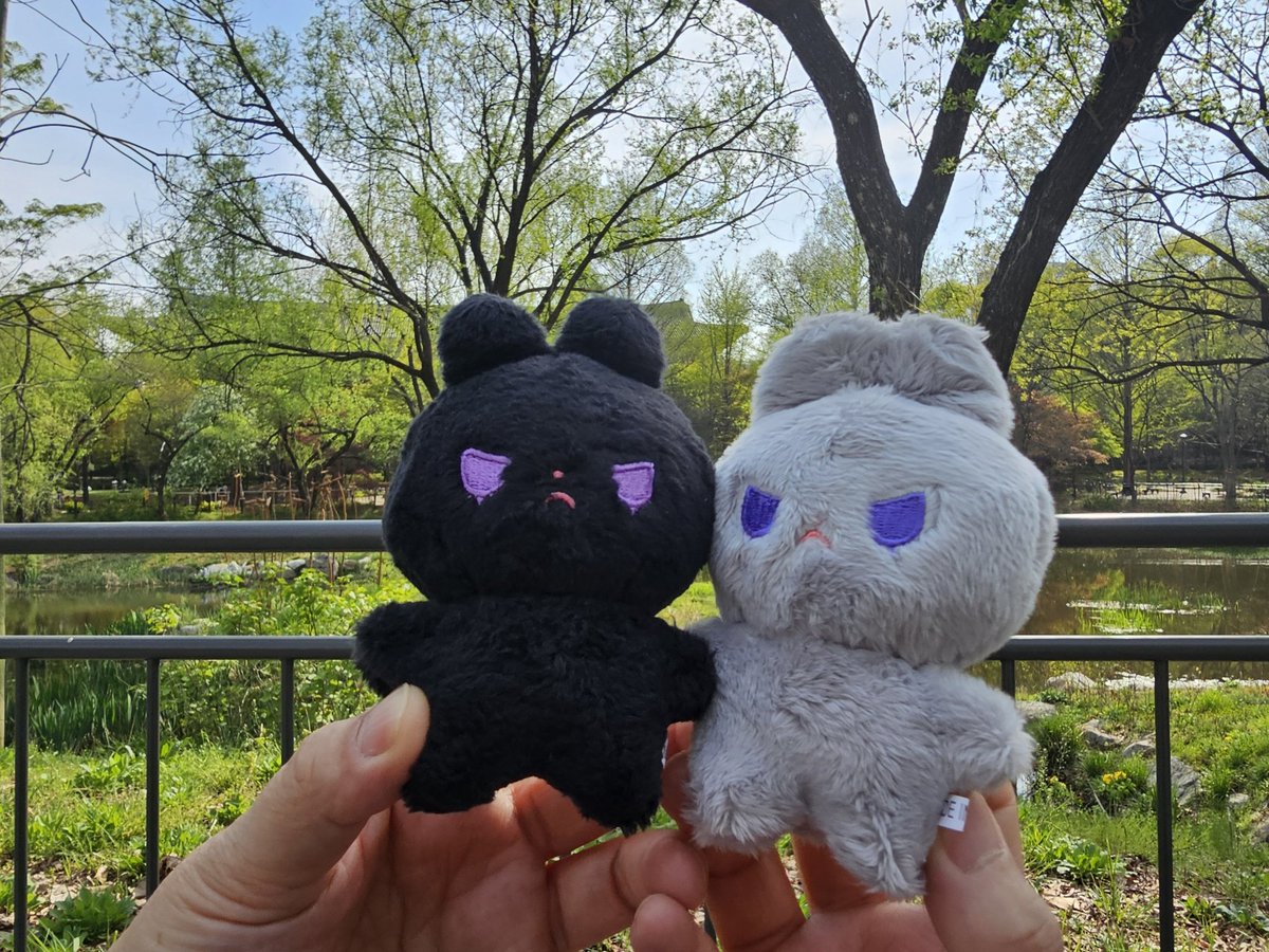 블루/BLUE tweet media