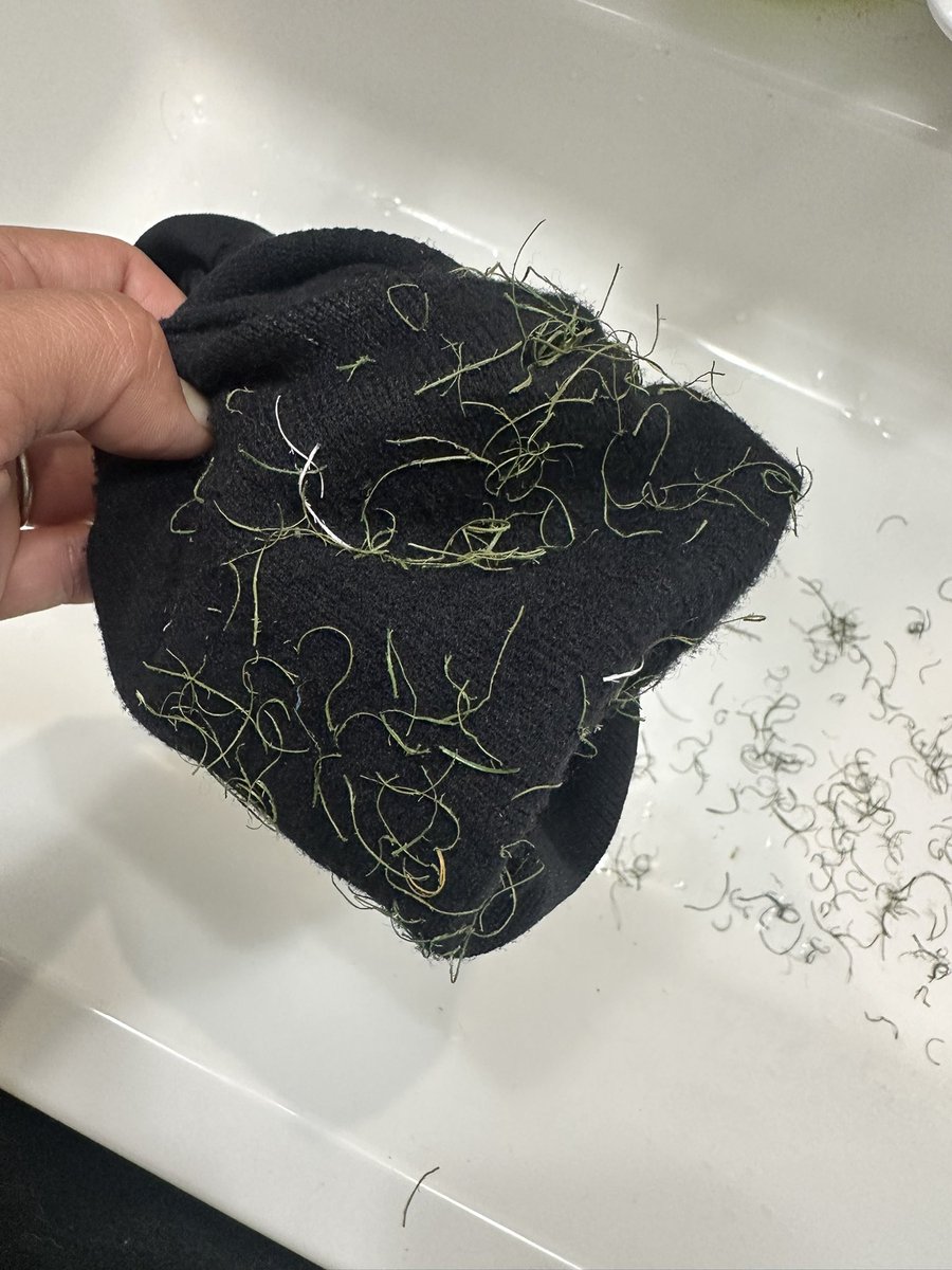 岩清水梓 tweet media