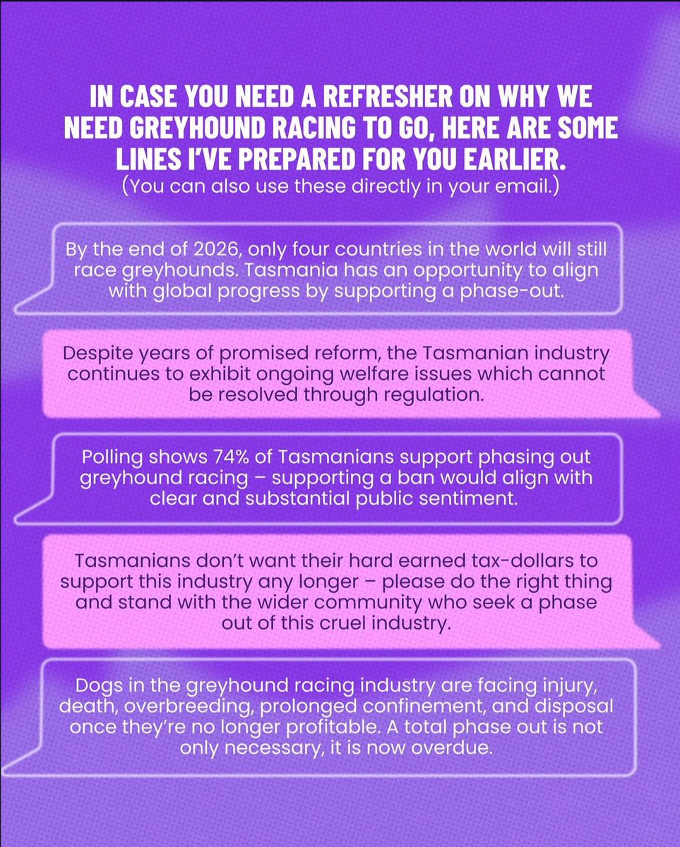 animaljusticeAU's tweet photo. #Tasmania #Politas #AusPol #VicPol #SpringSt #AusPol26 #AusPol2026 #Animals #Dogs #Greyhounds #Victoria #AnimalRescue #BringBacktheBan #GreyhoundRacing https://t.co/ZGo8E2BrgG