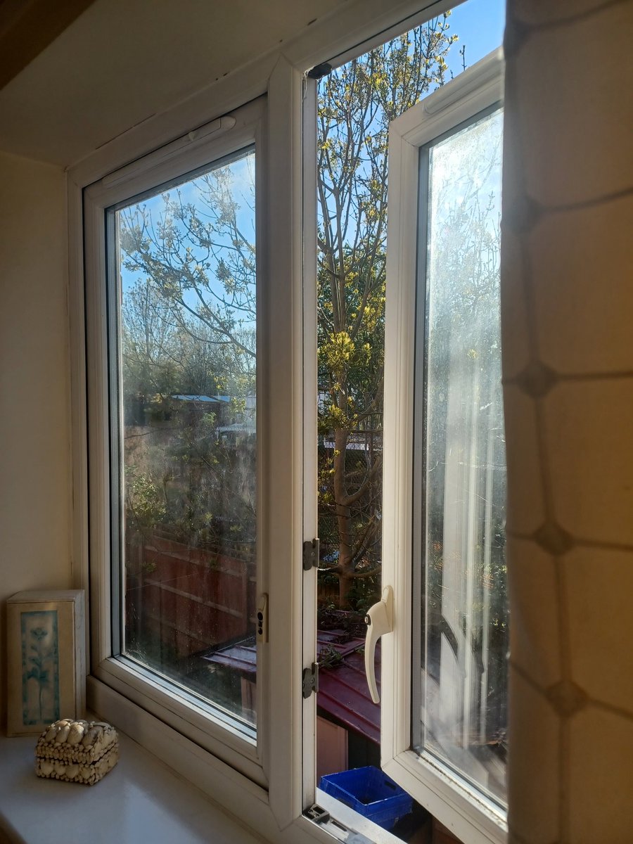 NaturezFynest's tweet image. Every day, there's a little more life on the trees, #spring nature watching #blueskies yellow green 🌿💛 🌞