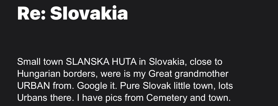 Saint Tostus🛡️🪡 tweet media