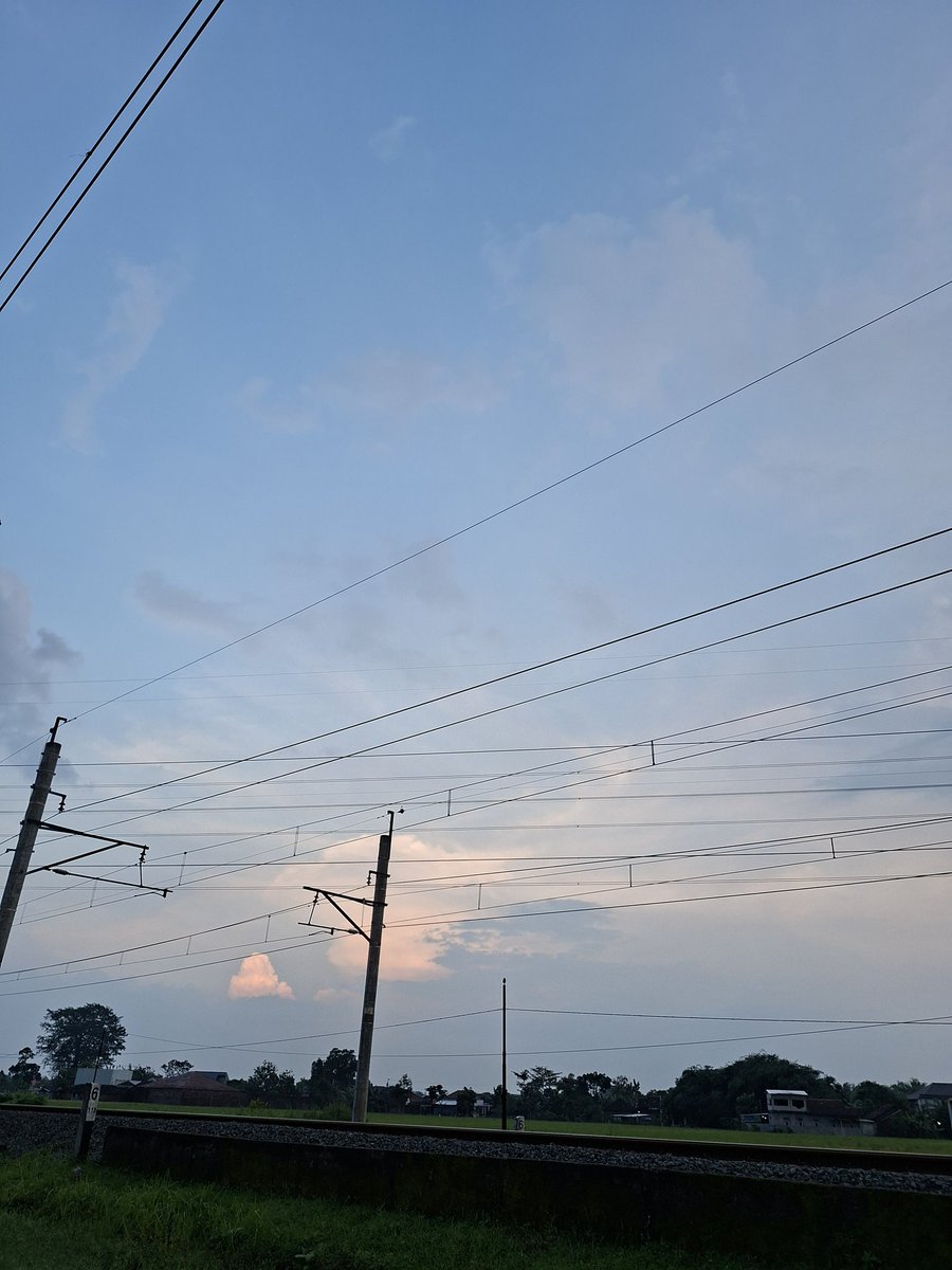 ๐๐๐ tweet media