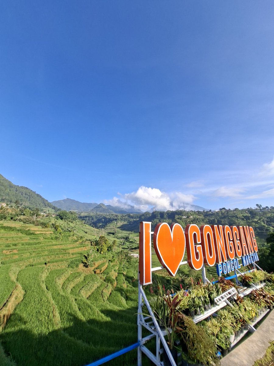 ๐๐๐ tweet media