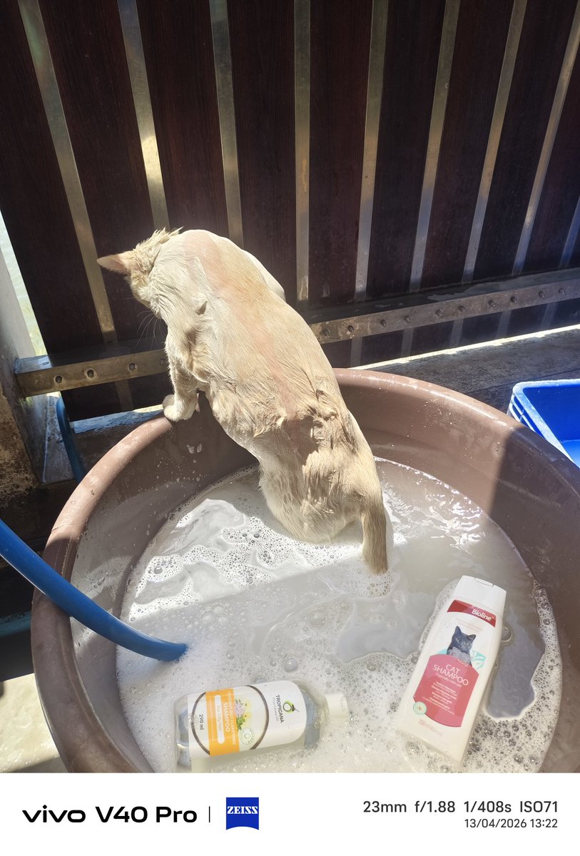 ภูชิสส์-Heart--Pearl----- tweet media