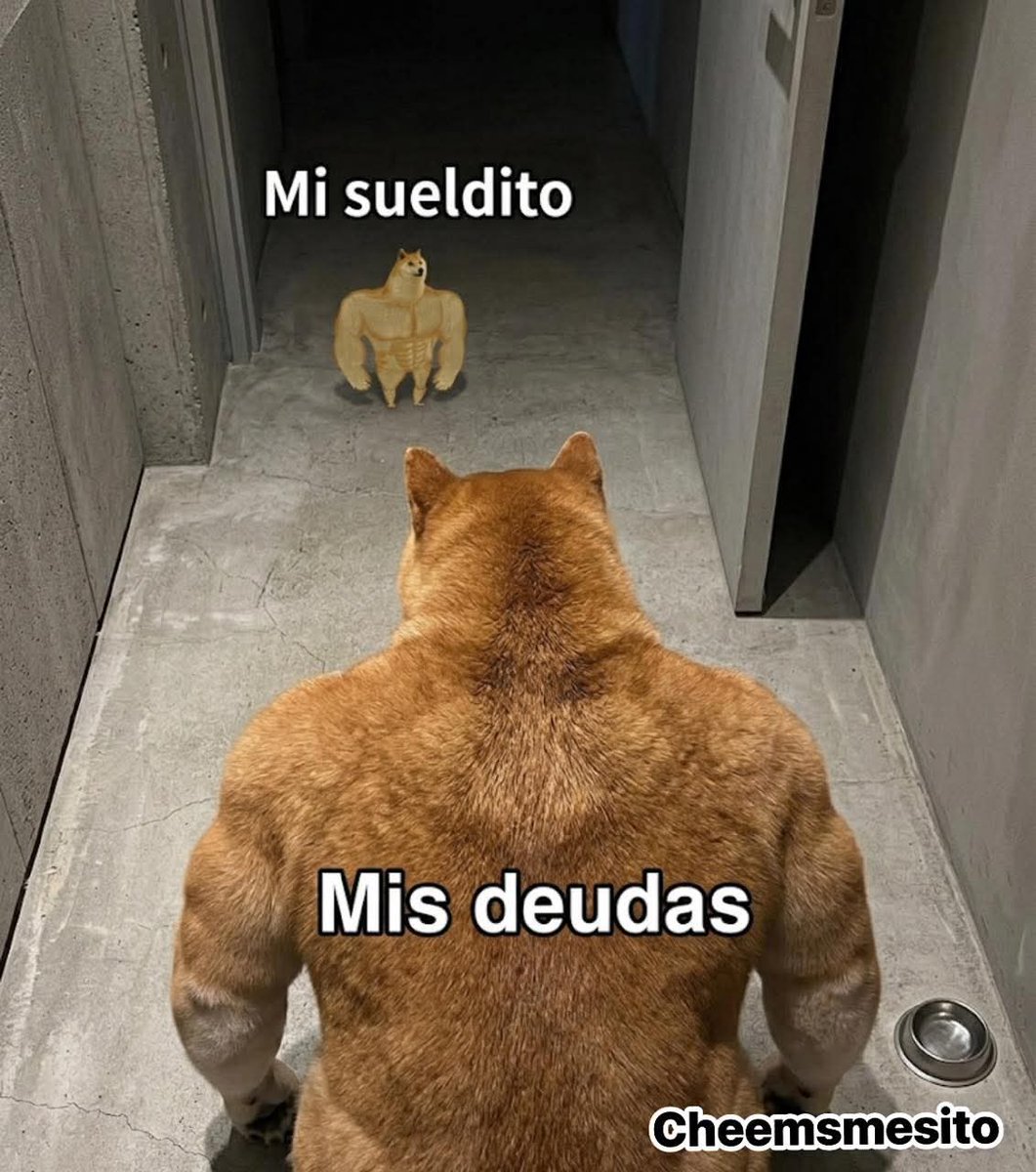 En Júpiter tweet media