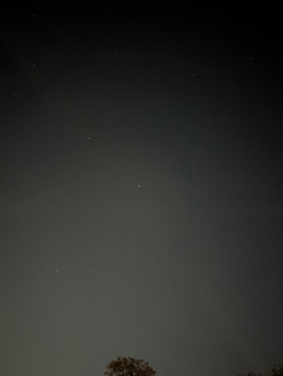 NaniteCircuit's tweet image. Not many visible stars this close to the city, but what you can see makes for a lovely backdrop for a night owl like yours truly 🌃