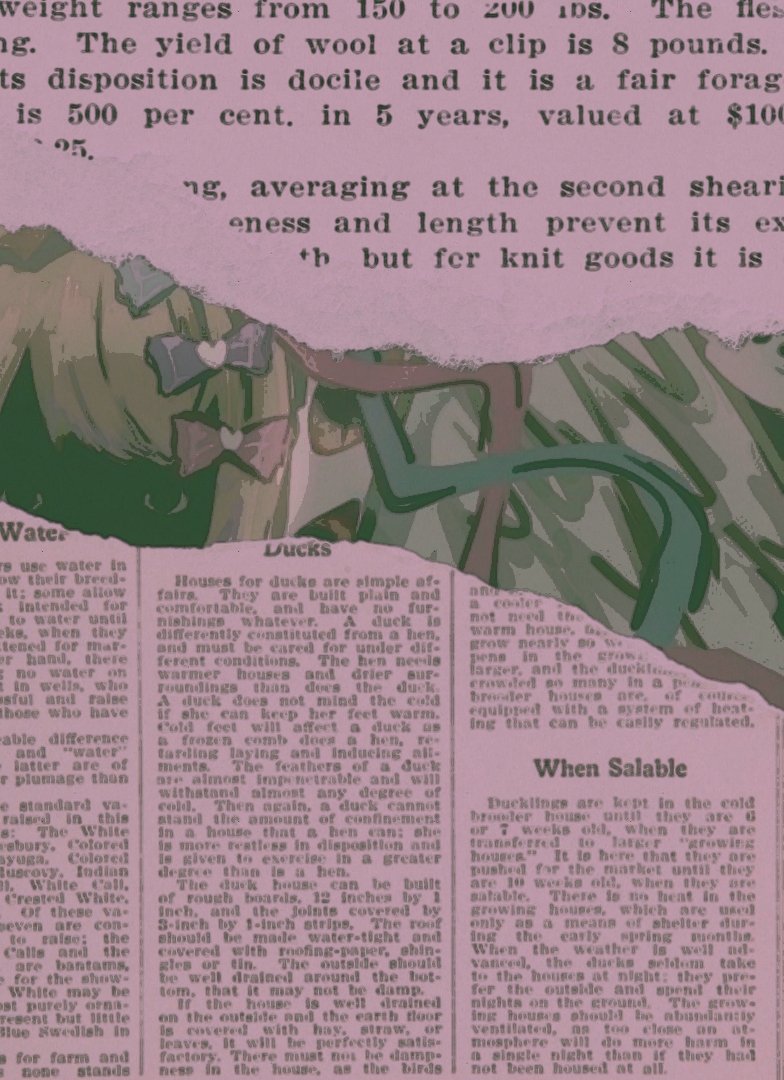 𝓟𝐎𝐊𝐄 𝐒𝐓𝐑𝐄𝐀𝐌𝐄𝐑.ᐟ.ᐟ tweet media