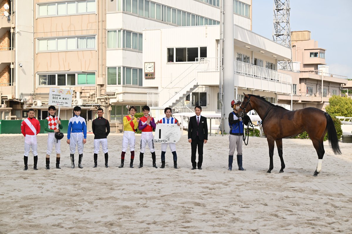 東京シティ競馬 (TCK) tweet media