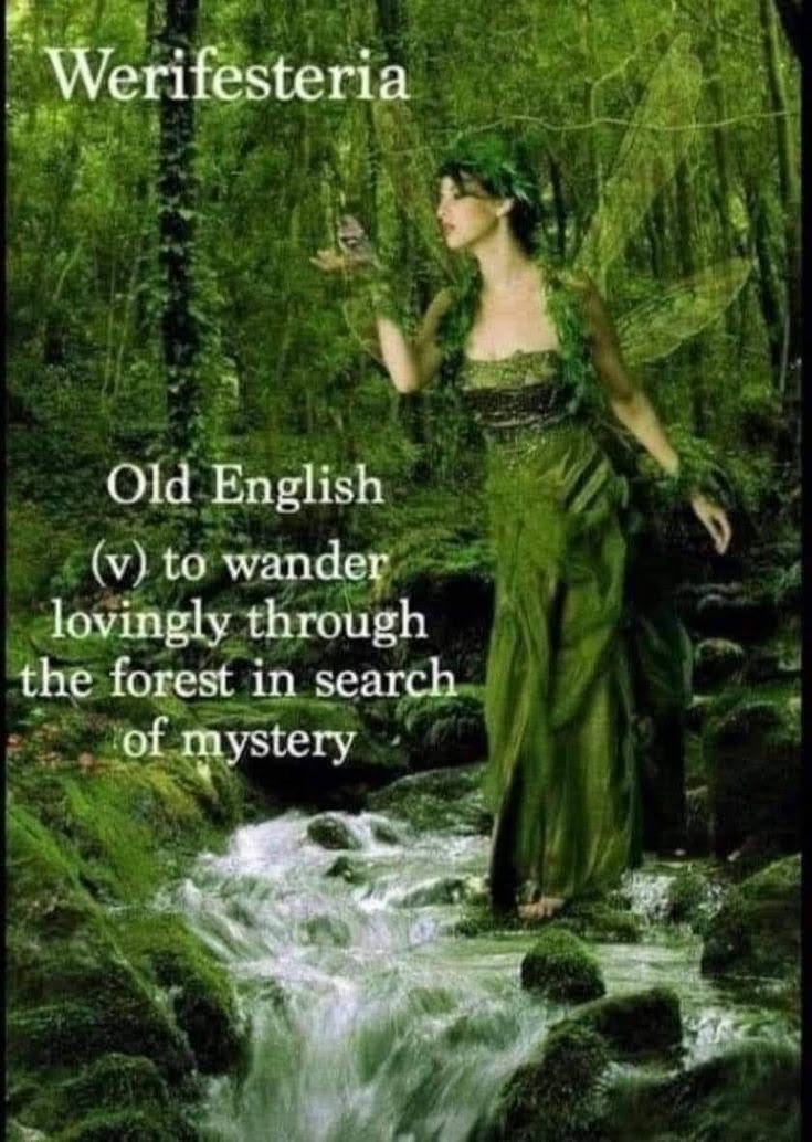 SubRosaMagick's tweet image. #WordOfTheDay #FairyTaleTuesday #OldEnglish #Forests