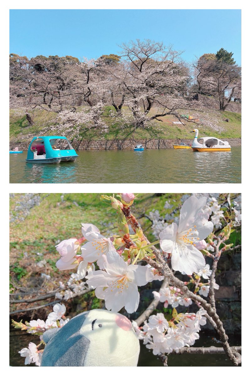 アール tweet media