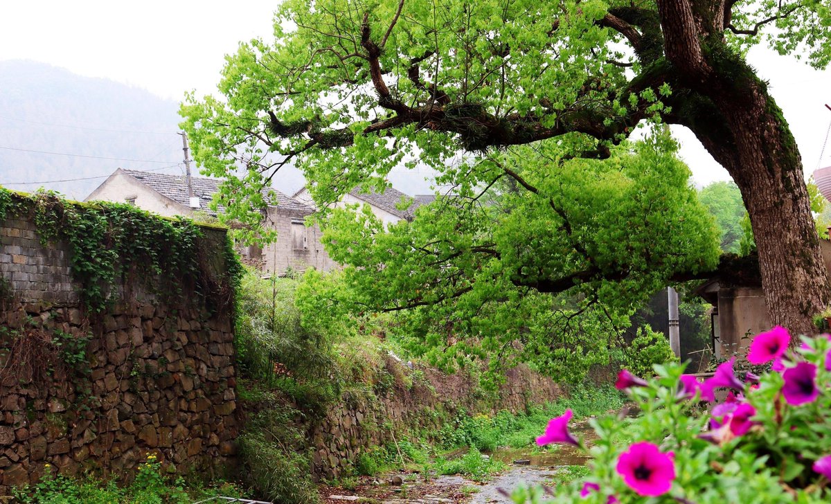 Sarah Strohhammer tweet media