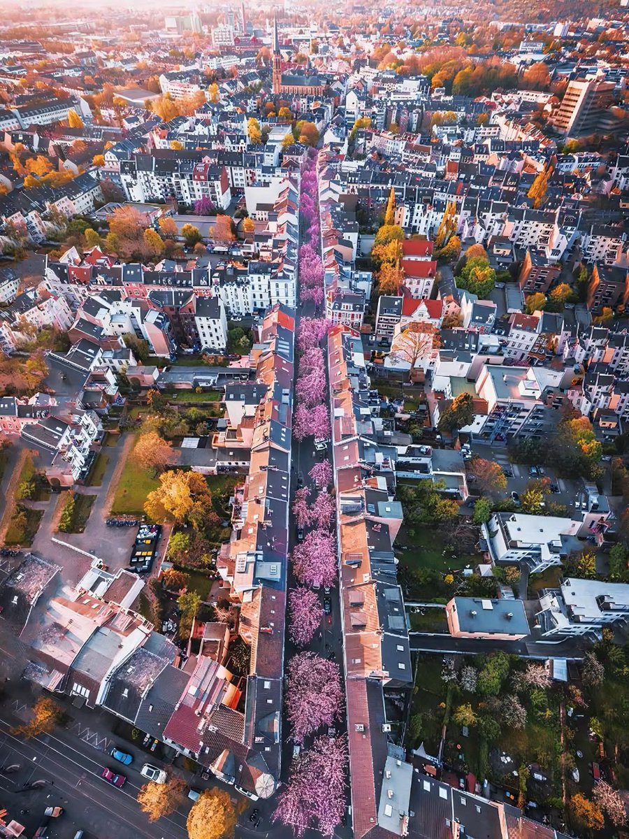 Dream Cities tweet media