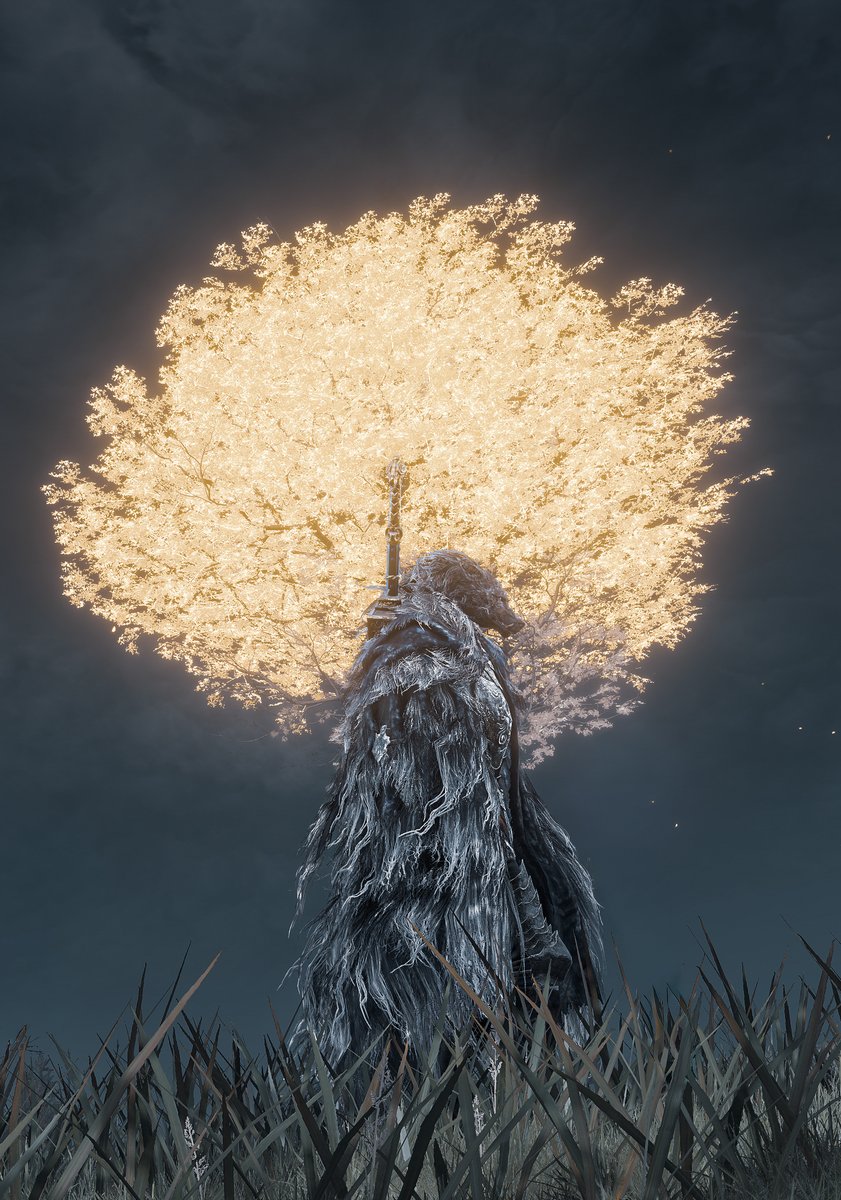 Troy 🇦🇺 tweet media