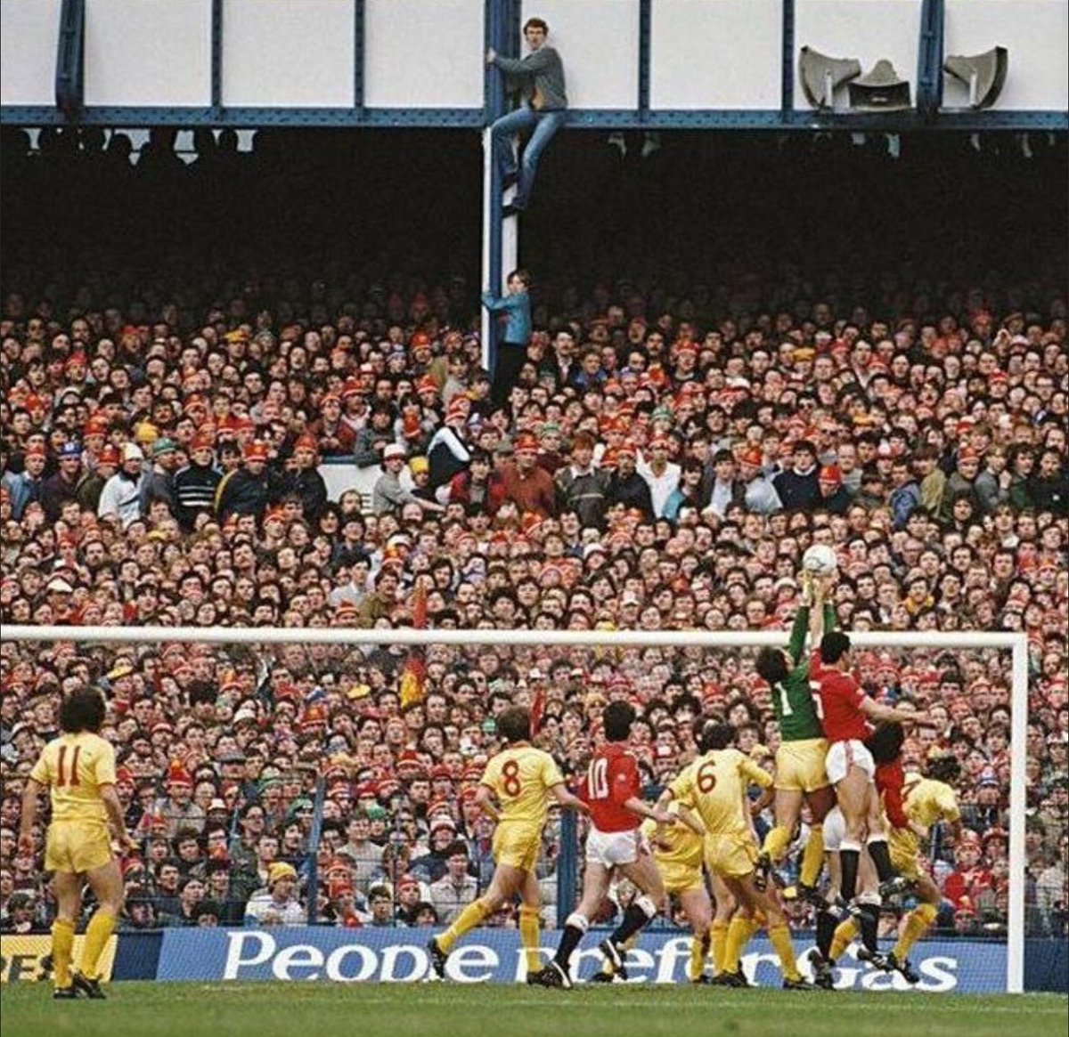 Gary Stanford tweet media