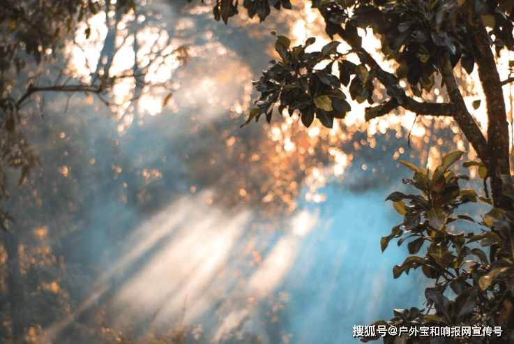 ToHoangVu's tweet photo. Woke up to birds, brewed coffee over fire, hiked to a view that stole my breath. Camping u003e everything. https://t.co/kkBnwdDhAb