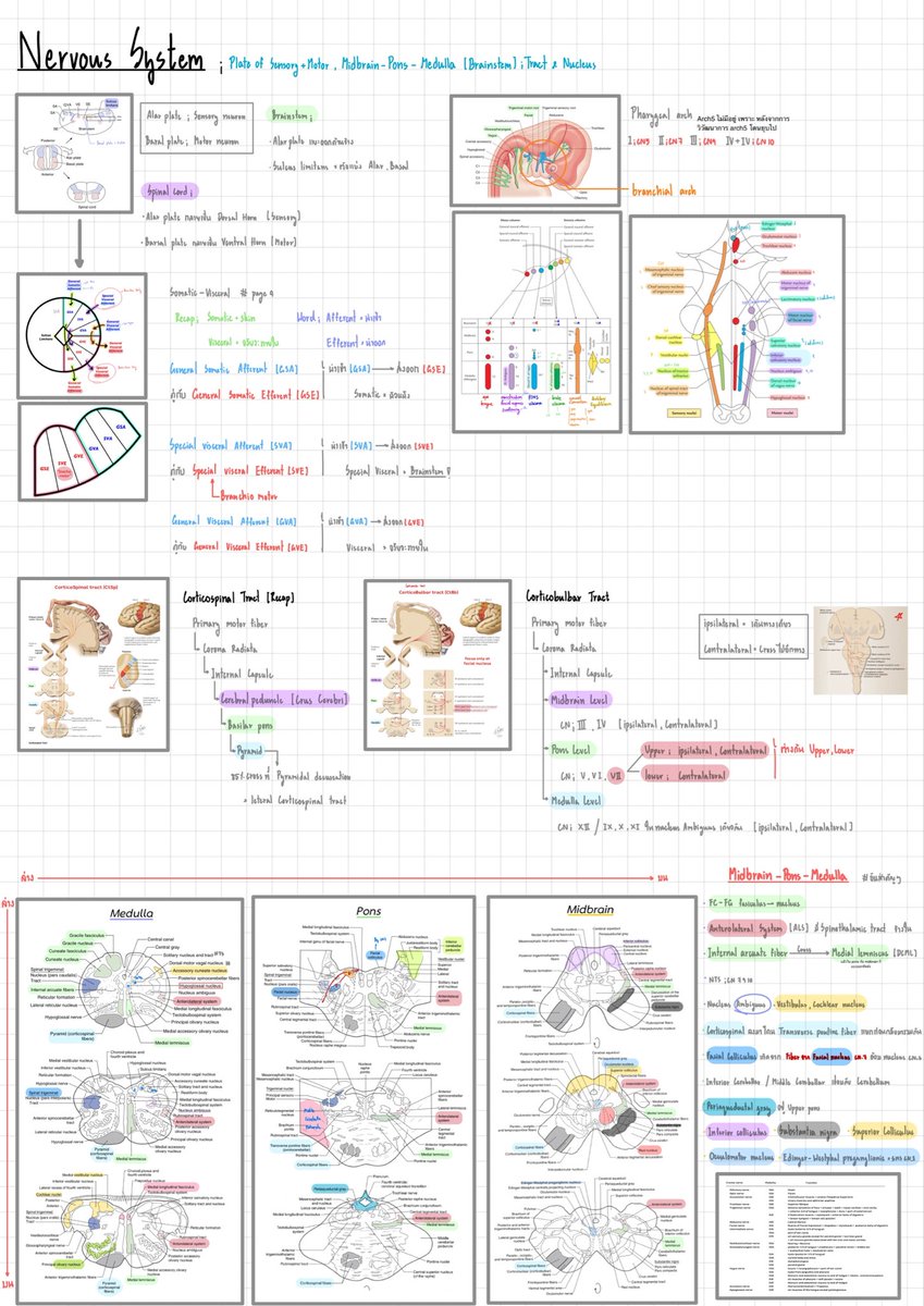 Dek66+4 มันเหนื่อยนะรู้ไหมx4 tweet media