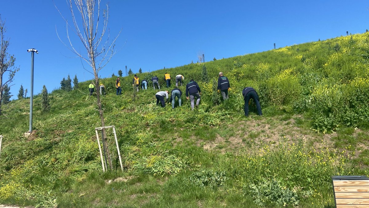 ŞBB PARK VE BAHÇELER 🇹🇷 tweet media