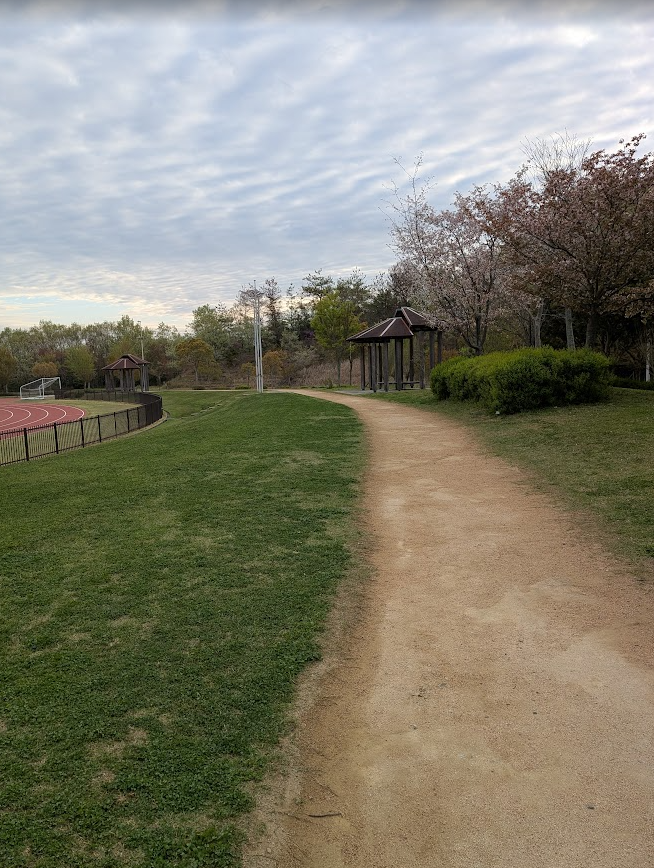 rfuruya1's tweet photo. 朝の散歩

★　毎朝６０００歩の散歩をやってるが、三木総合防災公園まで車で行ってそこで歩いている。
６０００歩は約４ｋｍ、約１時間ほど掛かる。
前半３０００歩は３回ぐらい休憩するのだが、後半の３０００歩は６回ほど休憩しながらの散歩である。
休憩しなくても歩けるとは思うが、休憩を取りながらのほうが、何となく気持ちが楽である。
三木総合防災公園は広大で幾らでもコースが取れるのだができるだけ変化に富んだ道を選んで歩いている。

７時の開門前だから、道脇に車を止めてのスタートである。こんな緩やかな下り坂を下っていく。
開門前だから広大な駐車場には車は止まっていない。
陸上競技場の周辺の細い地道の散歩道を歩いて、まずここで休憩。この小屋までが約１０００歩である。
陸上競技場の横道が終わるとこんな広い道に戻る。
この道を左に折れるとこんな散歩道に出る。
ここで２度目の休憩、ここまでが約２０００歩である。
歩き出して２０分ちょっと、まだ６時台で、気温は１４℃ぐらいだが、このあたりで、もう汗ばむ。
この休憩所で約３５００歩ぐらいになる。
そこからまた散歩道に戻って歩く。
こんなサッカーコートは３つ並んでいるのだが、その周りを歩いているのである。
そしてこれが最後の行程、この先の広い道に車は止めている。あと４００歩ほどで、６０００歩になる。
道が変化に富んでいるのがいい。
同じような道を歩いたのでは、飽きてしまうのではないかと思ったりする。
何とか毎朝、「６０００歩の散歩」が続いているのは、
三木総合防災公園の「変化に富んだ道」があるからだと言えるかも知れない。

あと何年続くだろうか？