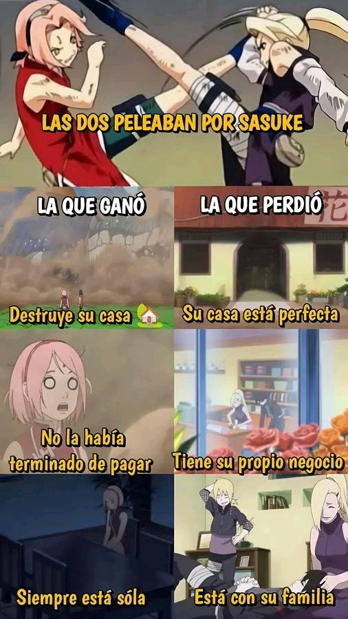 フェルナンダ tweet media