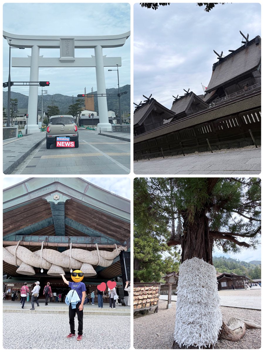 にゃ～(ｏ・ω・)ノ tweet media