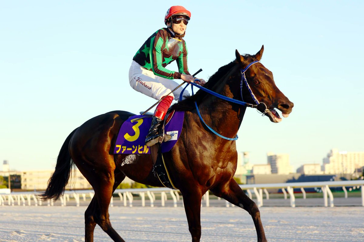 競馬アカデミー・UMADEMIA(ウマデミア) tweet media