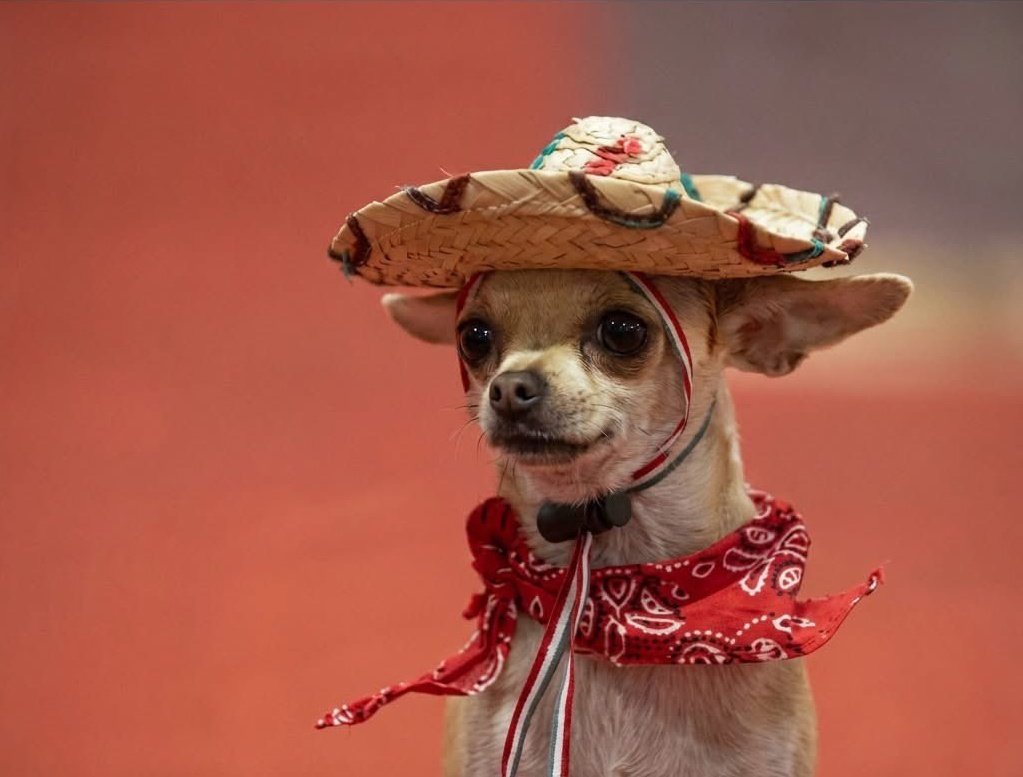 OTIM Uncensored 😎 tweet media