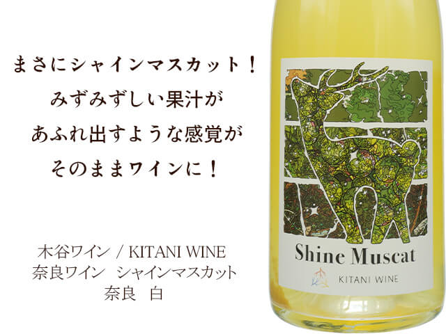 syusendo's tweet photo. 【　酒泉洞堀一　】
＼ワイン🍷新入荷！／
★━━━information━━

本日は2商品をご紹介!!

━━━━━━━━━━━★

【1】木谷ワイナリー / KITANI WINE 　奈良ワイン　シャインマスカット　白
産地：奈良県
品種：シャインマスカット
https://t.co/1sPjii6Fmu

まさにシャインマスカット！キュートで爽やかな味わいが口いっぱいに。みずみずしい果汁があふれ出すような感覚がそのままワインに！自然なワインの魅力を改めて感じました。

━━━━━━━

【2】Misono Vinyard ミソノヴィンヤード / Dornfelder rose　ドルンフェルダー　2025　ロゼ
産地：オーストリア
品種：ドルンフェルダー
https://t.co/1sPjii6Fmu

北海道余市から入荷！ローズティーのような優しい香りとピンクグレープフルーツの可愛らしい果実感が魅力。体にすーっと染み渡る柔らかな飲み心地のワインです。

━━━━━━━

詳細はプロフィールリンクから
⇒ @naturalwine_shusendo

-----------------------
【店舗情報】

本店 ：酒泉洞堀一
名古屋市西区枇杷島三丁目19番22
定休日： 年頭4日、毎週火曜日（12月除く）
最寄駅：名鉄東枇杷島駅

〜名古屋駅から名鉄線ご利用で東枇杷島駅へ〜
名鉄線の岩倉行き(普通)に乗車、二駅先の東枇杷島駅で下車。(快速、急行は停車しません)
徒歩約8分。

伏見店 : Shusendo Mini
名古屋市中区錦2丁目13-24伏見地下街内
052-212-8150
定休日：日曜日、祝日
最寄駅：東山線伏見駅

〜 名古屋駅から地下鉄東山線ご利用で伏見駅へ 〜
地下鉄東山線の藤が丘行きに乗車、一駅先の伏見駅で下車、その場合は先頭車両のご利用が便利です。東改札口を出て直進徒歩約1分。
---------------

#名古屋ワインショップ
#名古屋自然派ワイン
#ナチュラルワイン
#木谷ワイン
#ナゴミヴィンヤーズ
#白ワイン
#ロゼワイン
#フランスワイン
#日本ワイン
#海外ワイン
#自然派ワイン
#名古屋観光
#名古屋観光スポット
#名古屋グルメ
#名古屋カフェ
#名古屋旅行
#日本酒専門店
#名古屋日本酒専門店
#名古屋ワイン専門店