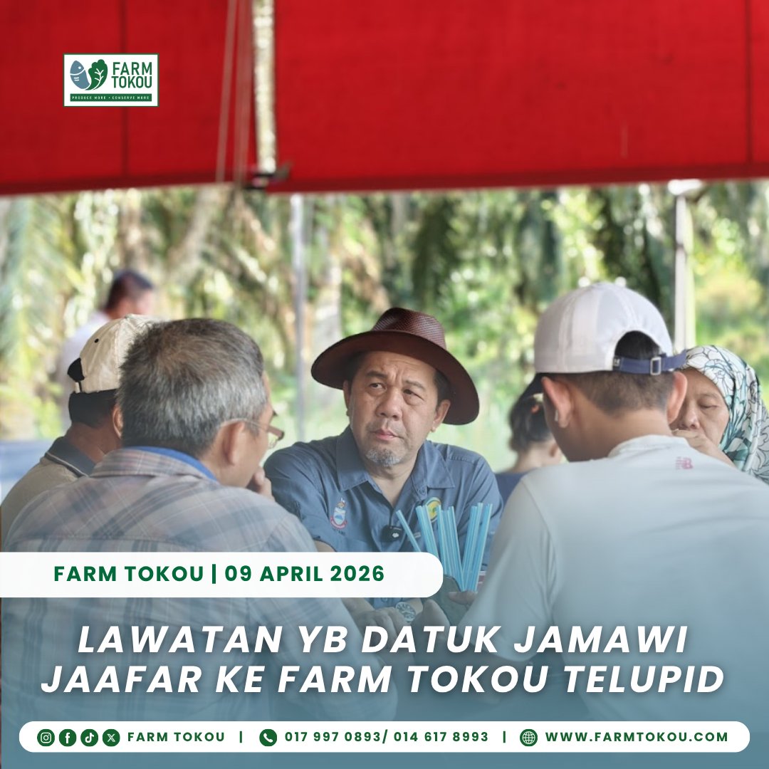 FarmTokou's tweet photo. Farm Tokou Telupid is honoured to welcome YB Datuk Jamawi Jaafar, Sabah’s Minister of Agriculture, Fisheries &amp; Food Industries. A meaningful visit that strengthens support for modern farming and sustainable food systems in Sabah.  

#FarmTokouTelupid #ModernFarming #Hydroponic https://t.co/BJHot4hRoP