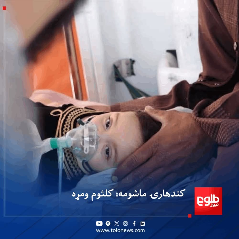 M. Nabi Bahar | محمد نبي بهار tweet media