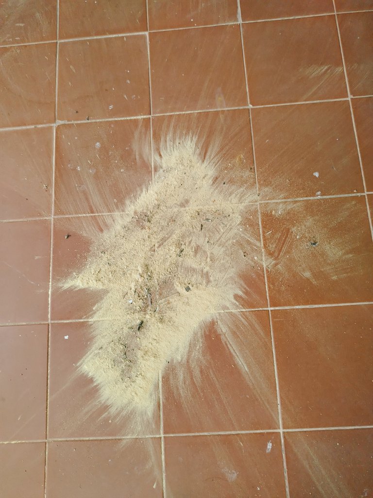 Onokad si iz ravničarskih predela, sa pretežno listopadnom vegetacijom, pa nemaš baš preteranu predstavu koliko zapravo polena imaju četinari. Sve više počinjem da ličim na onog lika iz Kanade sa grtalicom